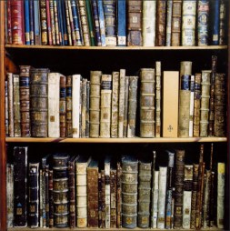 A glorious shelf of books (found on Google Images)