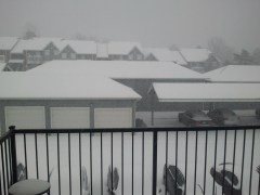 Looking out my window at the snow.