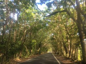 10523562_10100398073724529_8814275087101028705_n