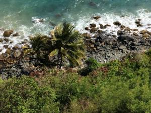 10986486_10100398072641699_7318216032490766251_n