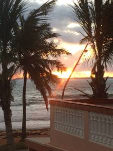 11094682_10100398072257469_4590496664482466975_n